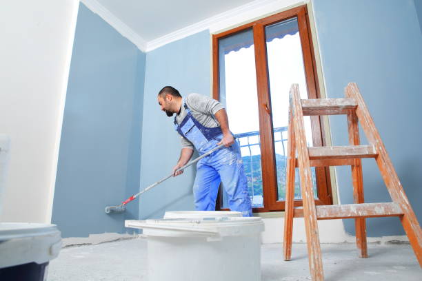 Best Drywall Removal and Disposal  in Lamont, MI